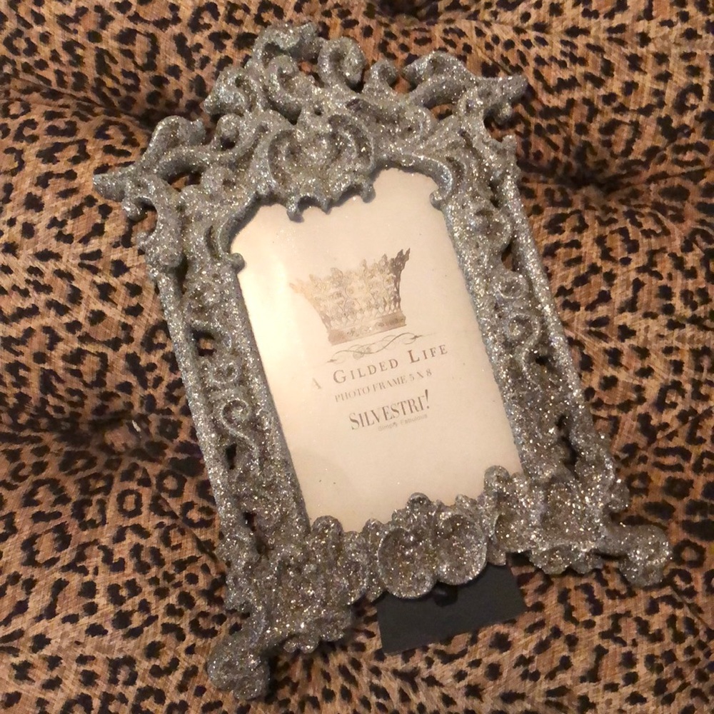 Sparkle 5x8 Frame